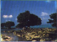 Pulau Karang Taka Bonerate